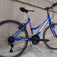 bici 24"