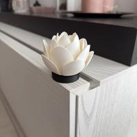 Piccola lampada da compagnia