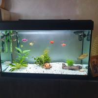 Teca per rettili o piante