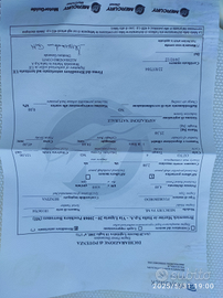 Barca open, cantiere Capelli 17