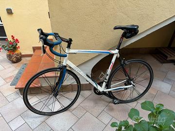 Bici telaio Salvador