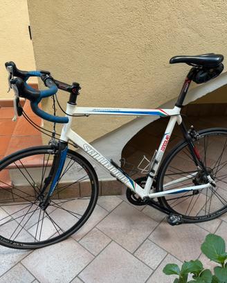 Bici telaio Salvador