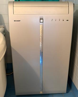 Climatizzatore Sharp