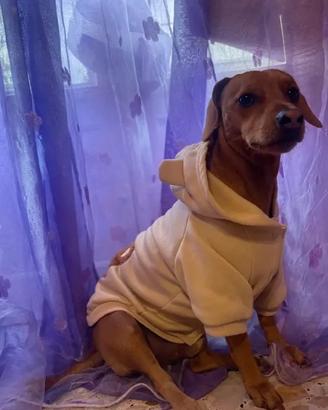 Ares 18 mesi di pura allegria