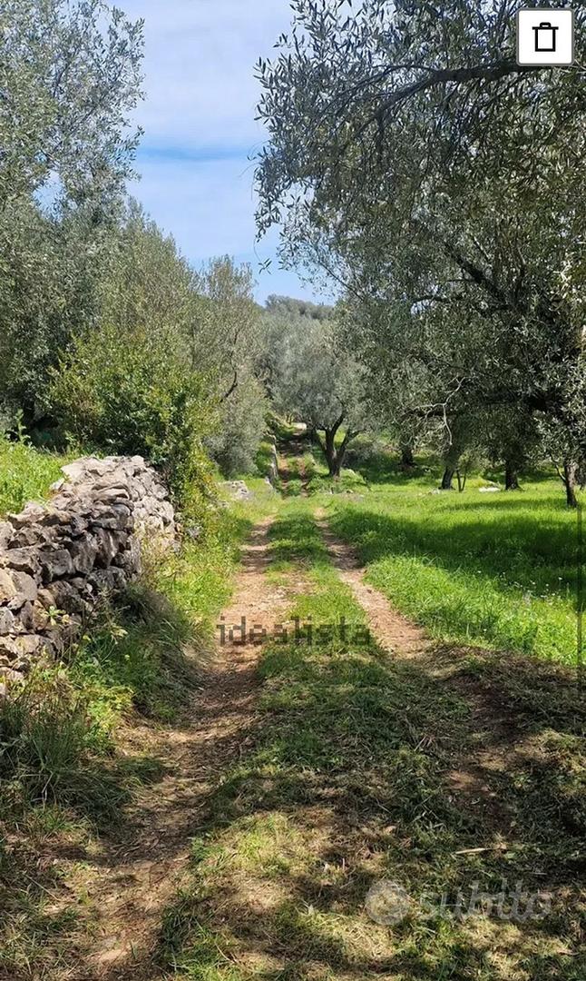 Terreno marina di camerota - Vista 2