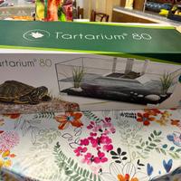 Tartarughiera Tartarium 80 Ciano NUOVO