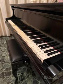 Pianoforte a mezza coda