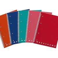 5 quaderni scuola spiralati Pigna