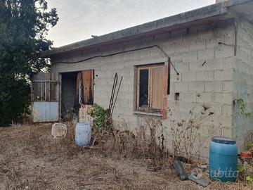 Terreno agricolo 2 ettari con fabbricato deposito