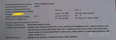 Barca da pesca telline