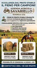 Ballone e ballette per cavalli