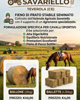 Ballone e ballette per cavalli