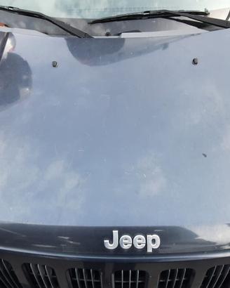 JEEP CHEROKEE LIMITED 2000 - COFANO ANTERIORE
