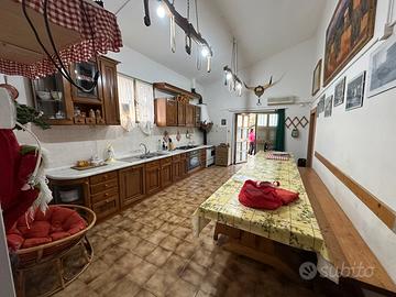 Terreno con annesso agricolo