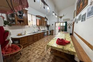 Terreno con annesso agricolo