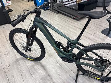 Orbea WILD M20
