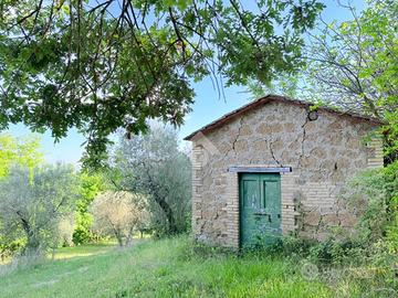 TER. AGRICOLO A TORRI IN SABINA