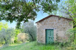 TER. AGRICOLO A TORRI IN SABINA