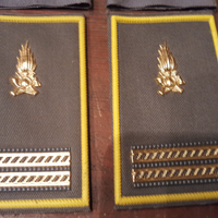 Stemmi e mostrine militare
