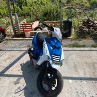 Beta ark 70cc