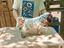 Immagine 4