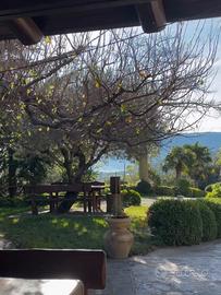 Casa Vacanze Tenuta Silente