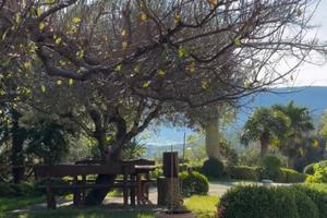 Casa Vacanze Tenuta Silente