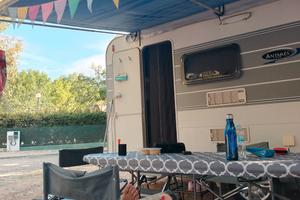 tendalino caravanstore fiamma 310