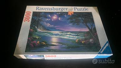 Puzzle Ravensburger 3000 pezzi
