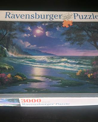 Puzzle Ravensburger 3000 pezzi