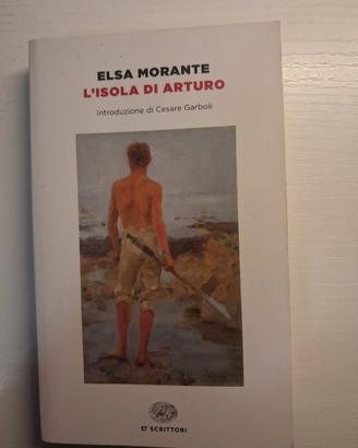 L'isola di Arturo