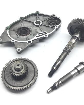 APRILIA SCARABEO LIGHT 125 CARTER INGRANAGGI TRASM