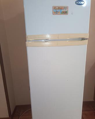 frigo ocean
