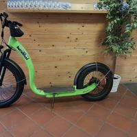 Monopattino  elettrico ruote FAT