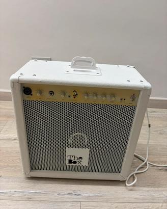 Cassa amplificatore seletti