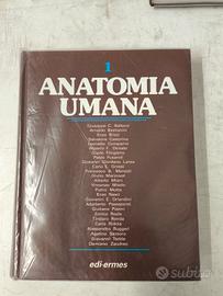 Anatomia umana