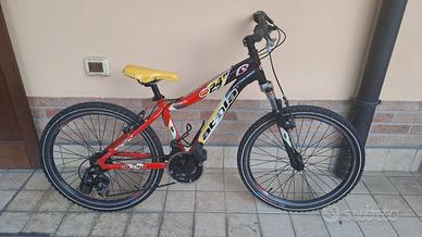 Bicicletta mountain bike