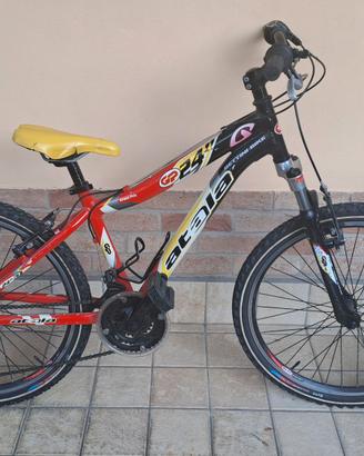 Bicicletta mountain bike