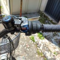Bici elettrica