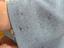 Immagine 5