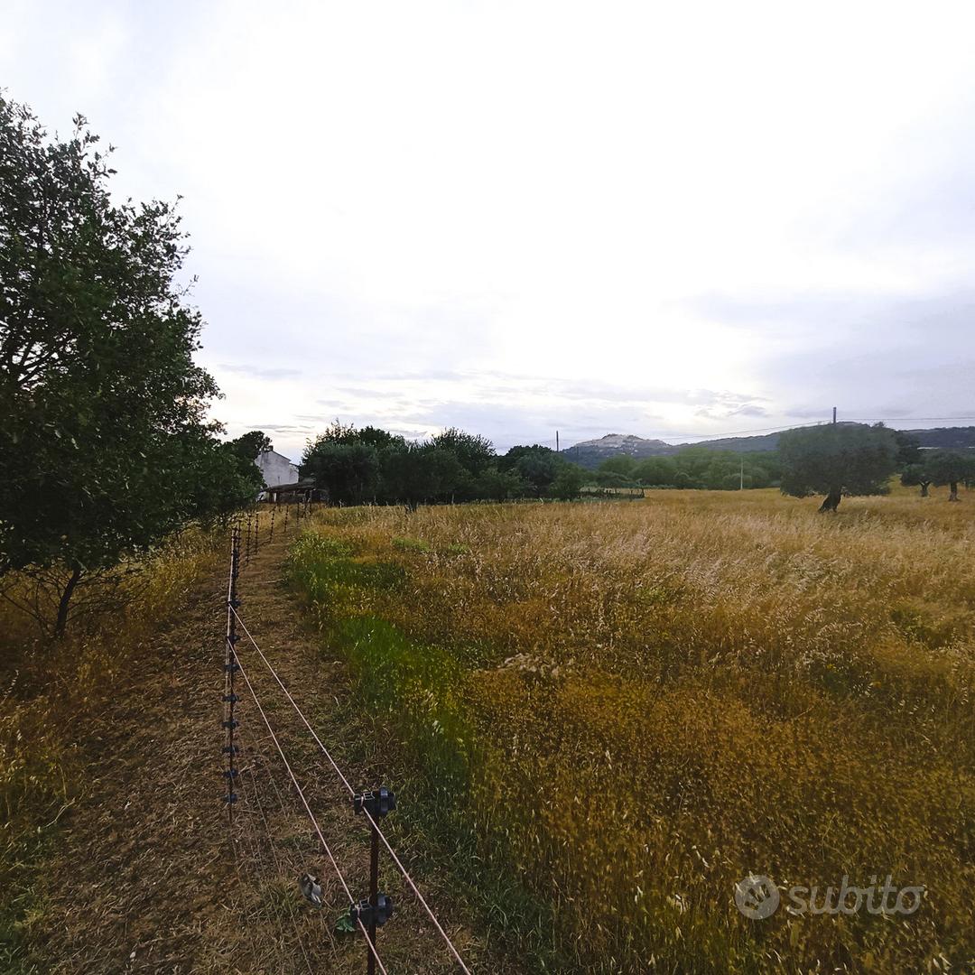 Terreno Agricolo e Rustico a Chiaromonte - Vista 3