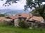 Immagine 13