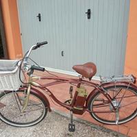 E-bike Beach Bike elettrica pedalata assistita