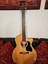 Chitarra acustica amplificata Richwood