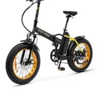 Bicicletta elettrica