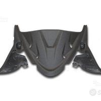 Paratia strumentazione carbonio DUCATI PANIGALE 89
