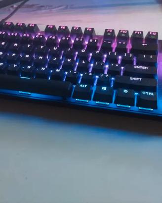 Apex pro tkl 2023 gen 2