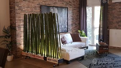Bambù per decorazione divisori arredamento orto