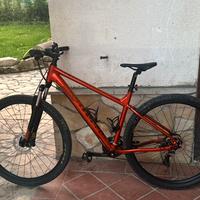 Bici mtb