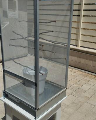 Camaleontario completo professionale accessori